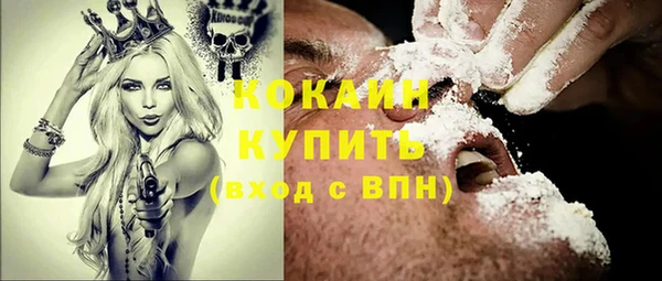 гашик Белокуриха