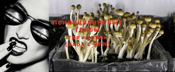 прущие крисы Белоозёрский