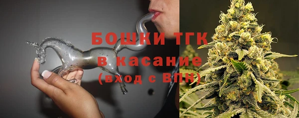 гашик Белокуриха