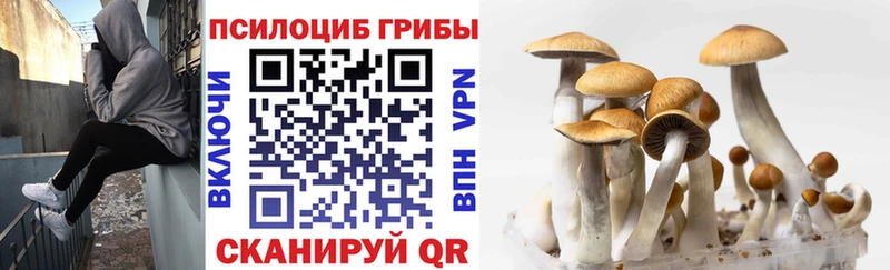 Псилоцибиновые грибы GOLDEN TEACHER  Кодинск 